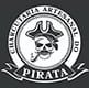 parceiro-logo-pirata